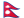 NP flag